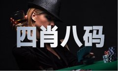 2024年材料大全最准